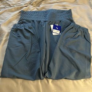 Blue Joy Lab Sweatpants